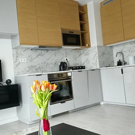 Elite Home 7 Jezyce- Baranczaka 7 Poznan Exterior photo