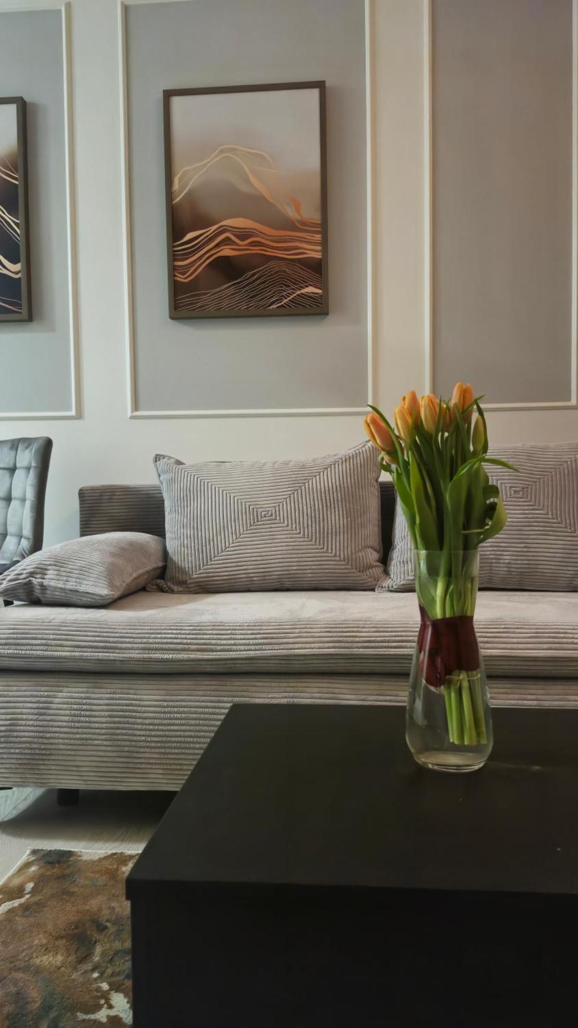 Apartment Elite 7 Jezyce- Baranczaka 7