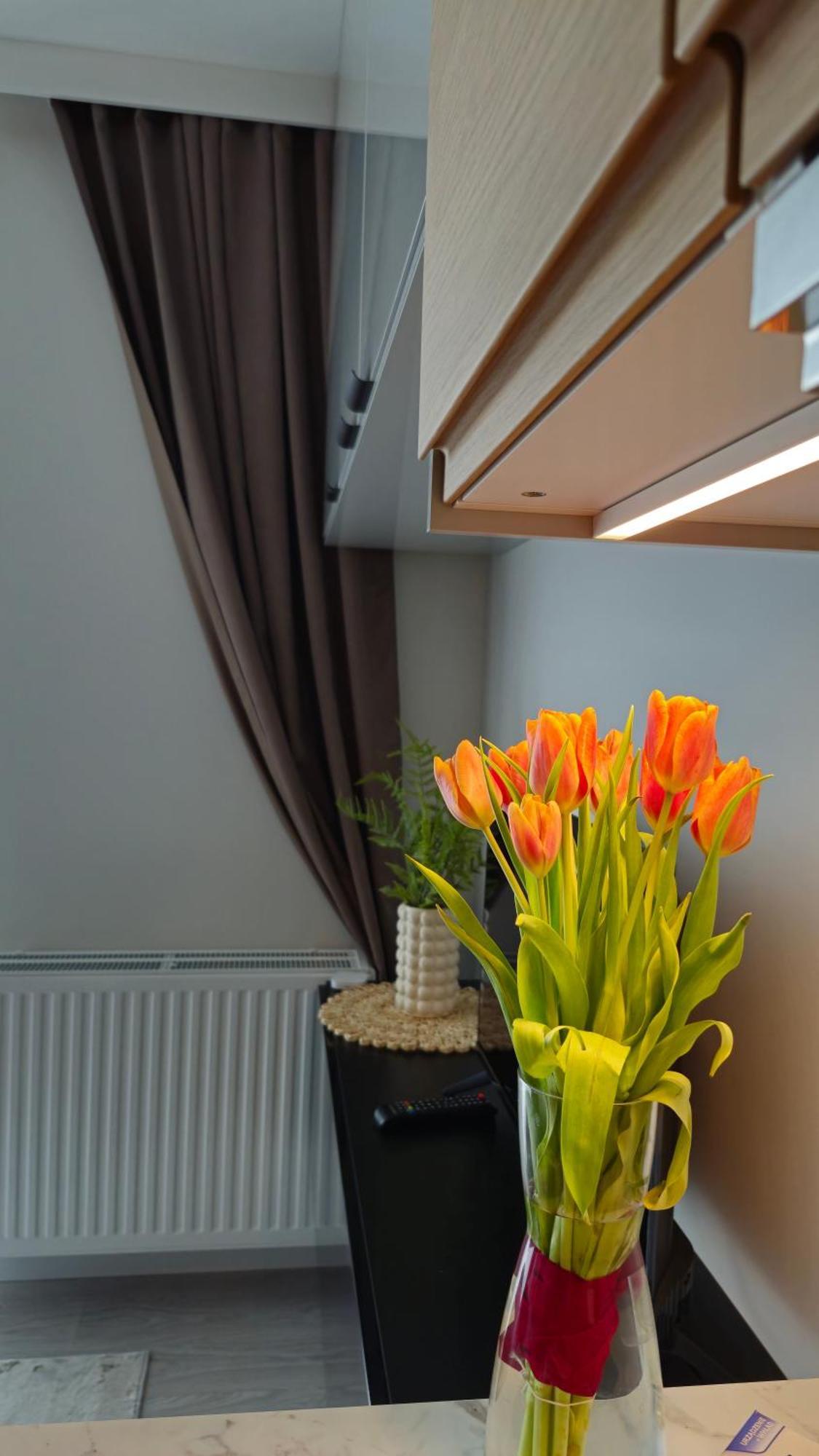 Elite 7 Jezyce- Baranczaka 7 Apartment *